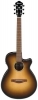 Ibanez AEG50 DHH Ibanez AEG50 DHH